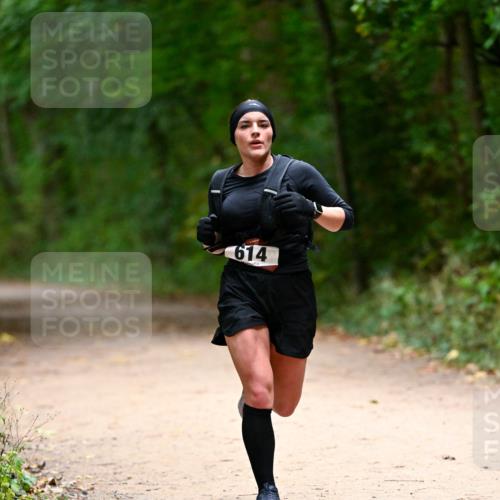 11.10.2026 - Bramfelder Halbmarathon 2026 Dr. Thomas Lammeyer http://msf.ph/oto/10820090 11.10.2026 10:19:10 Laufen 614 meine-sportfotos.de