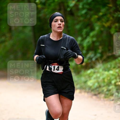 11.10.2026 - Bramfelder Halbmarathon 2026 Dr. Thomas Lammeyer http://msf.ph/oto/10820099 11.10.2026 10:19:11 Laufen 614 meine-sportfotos.de