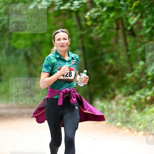 11.10.2026 - Bramfelder Halbmarathon 2026 Dr. Thomas Lammeyer http://msf.ph/oto/10820124 11.10.2026 10:19:22 Laufen 28 meine-sportfotos.de