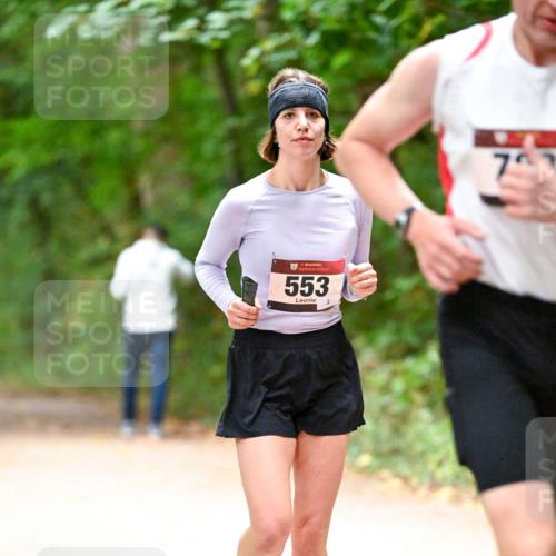 11.10.2026 - Bramfelder Halbmarathon 2026 Dr. Thomas Lammeyer http://msf.ph/oto/10820157 11.10.2026 10:19:36 Laufen 35, 553 meine-sportfotos.de