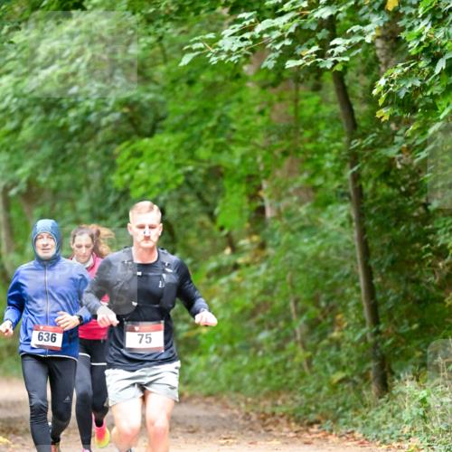 11.10.2026 - Bramfelder Halbmarathon 2026 Dr. Thomas Lammeyer http://msf.ph/oto/10820217 11.10.2026 10:20:15 Laufen 636, 75 meine-sportfotos.de
