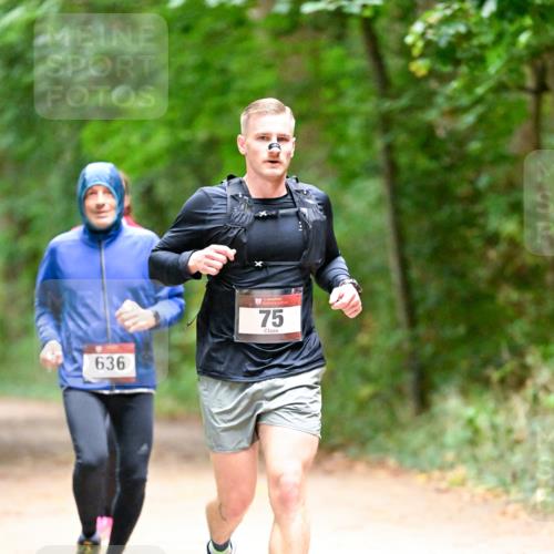 11.10.2026 - Bramfelder Halbmarathon 2026 Dr. Thomas Lammeyer http://msf.ph/oto/10820231 11.10.2026 10:20:17 Laufen 636, 75 meine-sportfotos.de