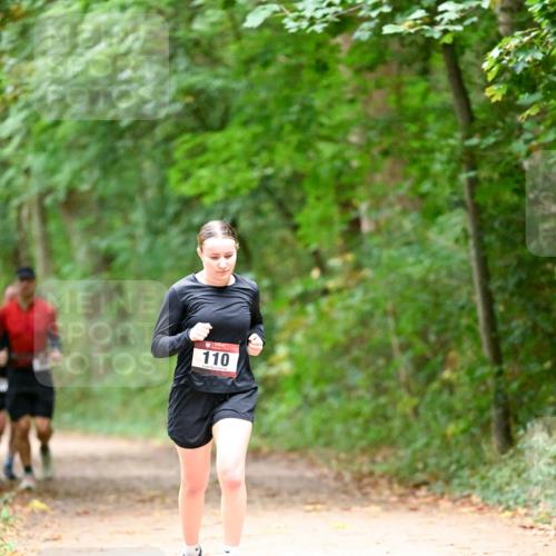 11.10.2026 - Bramfelder Halbmarathon 2026 Dr. Thomas Lammeyer http://msf.ph/oto/10820258 11.10.2026 10:20:34 Laufen 110 meine-sportfotos.de