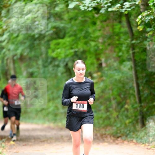 11.10.2026 - Bramfelder Halbmarathon 2026 Dr. Thomas Lammeyer http://msf.ph/oto/10820263 11.10.2026 10:20:34 Laufen 110 meine-sportfotos.de