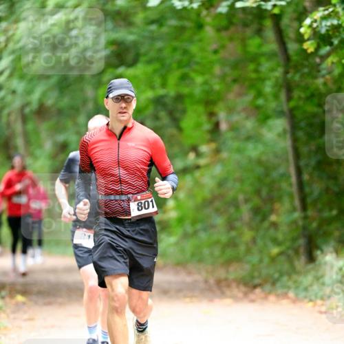 11.10.2026 - Bramfelder Halbmarathon 2026 Dr. Thomas Lammeyer http://msf.ph/oto/10820282 11.10.2026 10:20:40 Laufen 801 meine-sportfotos.de
