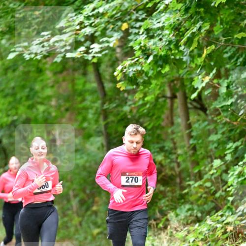 11.10.2026 - Bramfelder Halbmarathon 2026 Dr. Thomas Lammeyer http://msf.ph/oto/10820325 11.10.2026 10:20:52 Laufen 0, 270 meine-sportfotos.de