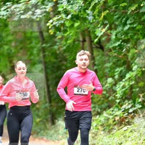 11.10.2026 - Bramfelder Halbmarathon 2026 Dr. Thomas Lammeyer http://msf.ph/oto/10820331 11.10.2026 10:20:53 Laufen 260, 270 meine-sportfotos.de