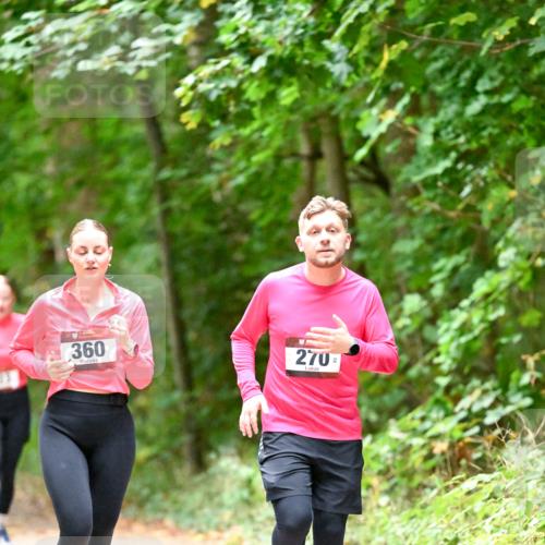 11.10.2026 - Bramfelder Halbmarathon 2026 Dr. Thomas Lammeyer http://msf.ph/oto/10820332 11.10.2026 10:20:53 Laufen 360, 270 meine-sportfotos.de