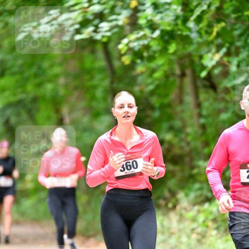 11.10.2026 - Bramfelder Halbmarathon 2026 Dr. Thomas Lammeyer http://msf.ph/oto/10820336 11.10.2026 10:20:54 Laufen 360 meine-sportfotos.de