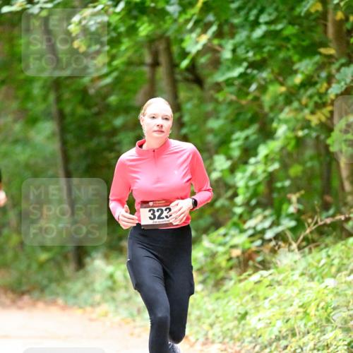 11.10.2026 - Bramfelder Halbmarathon 2026 Dr. Thomas Lammeyer http://msf.ph/oto/10820349 11.10.2026 10:20:57 Laufen 322 meine-sportfotos.de
