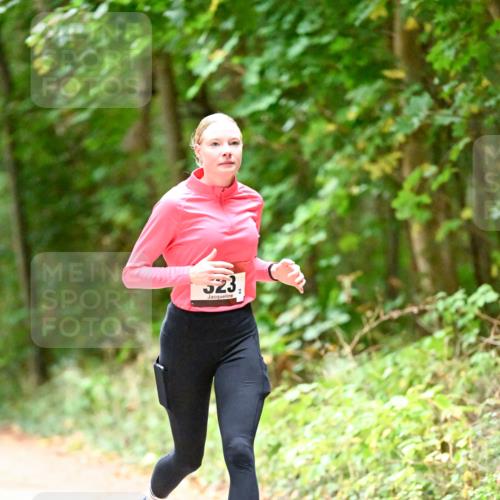 11.10.2026 - Bramfelder Halbmarathon 2026 Dr. Thomas Lammeyer http://msf.ph/oto/10820351 11.10.2026 10:20:57 Laufen 523 meine-sportfotos.de