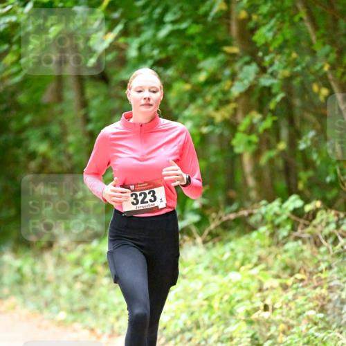 11.10.2026 - Bramfelder Halbmarathon 2026 Dr. Thomas Lammeyer http://msf.ph/oto/10820353 11.10.2026 10:20:57 Laufen 323 meine-sportfotos.de