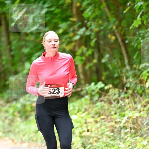 11.10.2026 - Bramfelder Halbmarathon 2026 Dr. Thomas Lammeyer http://msf.ph/oto/10820355 11.10.2026 10:20:57 Laufen 23, 44 meine-sportfotos.de