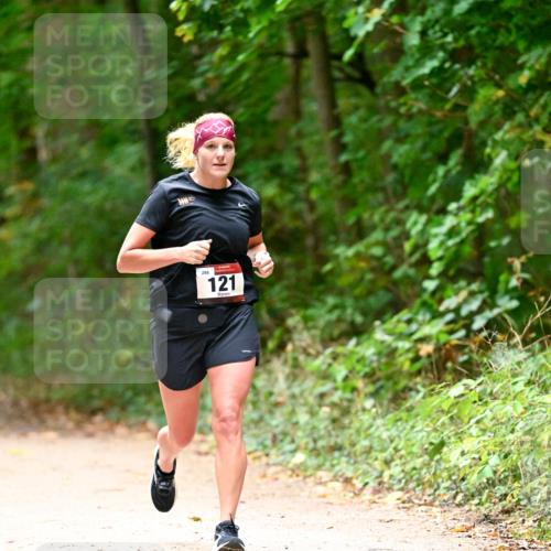 11.10.2026 - Bramfelder Halbmarathon 2026 Dr. Thomas Lammeyer http://msf.ph/oto/10820356 11.10.2026 10:20:59 Laufen 298, 121 meine-sportfotos.de