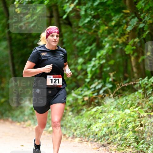 11.10.2026 - Bramfelder Halbmarathon 2026 Dr. Thomas Lammeyer http://msf.ph/oto/10820361 11.10.2026 10:20:59 Laufen 298, 121 meine-sportfotos.de