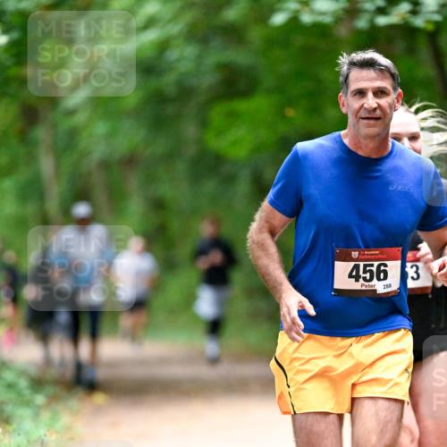 11.10.2026 - Bramfelder Halbmarathon 2026 Dr. Thomas Lammeyer http://msf.ph/oto/10820422 11.10.2026 10:21:26 Laufen 35, 456, 3, 288 meine-sportfotos.de