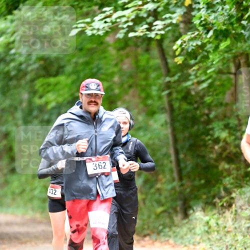 11.10.2026 - Bramfelder Halbmarathon 2026 Dr. Thomas Lammeyer http://msf.ph/oto/10820486 11.10.2026 10:21:41 Laufen 432, 32, 362 meine-sportfotos.de