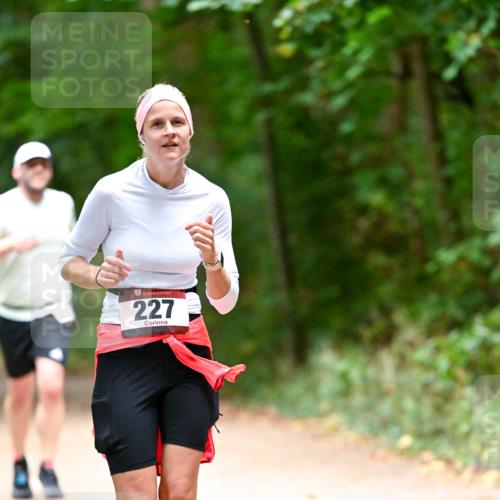 11.10.2026 - Bramfelder Halbmarathon 2026 Dr. Thomas Lammeyer http://msf.ph/oto/10820562 11.10.2026 10:22:03 Laufen 227 meine-sportfotos.de