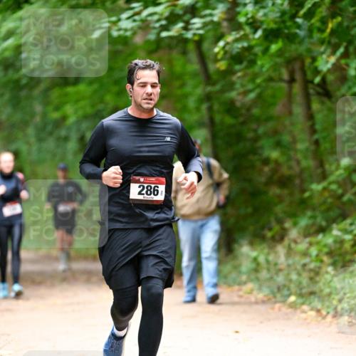 11.10.2026 - Bramfelder Halbmarathon 2026 Dr. Thomas Lammeyer http://msf.ph/oto/10820960 11.10.2026 10:23:49 Laufen 286 meine-sportfotos.de