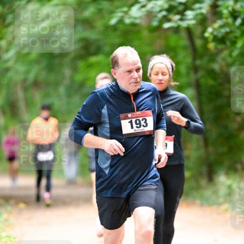 11.10.2026 - Bramfelder Halbmarathon 2026 Dr. Thomas Lammeyer http://msf.ph/oto/10821010 11.10.2026 10:24:00 Laufen 35, 193 meine-sportfotos.de