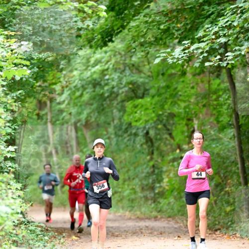 11.10.2026 - Bramfelder Halbmarathon 2026 Dr. Thomas Lammeyer http://msf.ph/oto/10821060 11.10.2026 10:24:09 Laufen 356, 44 meine-sportfotos.de