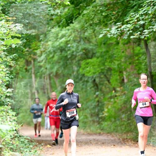 11.10.2026 - Bramfelder Halbmarathon 2026 Dr. Thomas Lammeyer http://msf.ph/oto/10821066 11.10.2026 10:24:11 Laufen 356, 44 meine-sportfotos.de