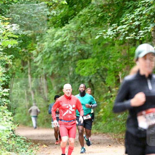 11.10.2026 - Bramfelder Halbmarathon 2026 Dr. Thomas Lammeyer http://msf.ph/oto/10821091 11.10.2026 10:24:15 Laufen 98 meine-sportfotos.de