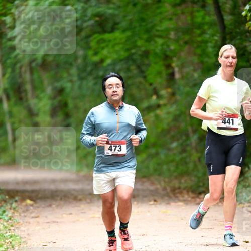 11.10.2026 - Bramfelder Halbmarathon 2026 Dr. Thomas Lammeyer http://msf.ph/oto/10821103 11.10.2026 10:24:20 Laufen 473, 441 meine-sportfotos.de