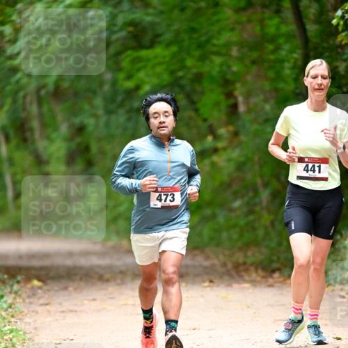 11.10.2026 - Bramfelder Halbmarathon 2026 Dr. Thomas Lammeyer http://msf.ph/oto/10821104 11.10.2026 10:24:20 Laufen 284, 473, 441 meine-sportfotos.de
