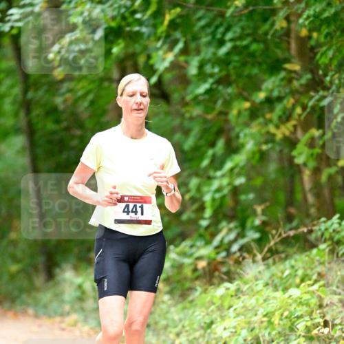11.10.2026 - Bramfelder Halbmarathon 2026 Dr. Thomas Lammeyer http://msf.ph/oto/10821111 11.10.2026 10:24:22 Laufen 441 meine-sportfotos.de