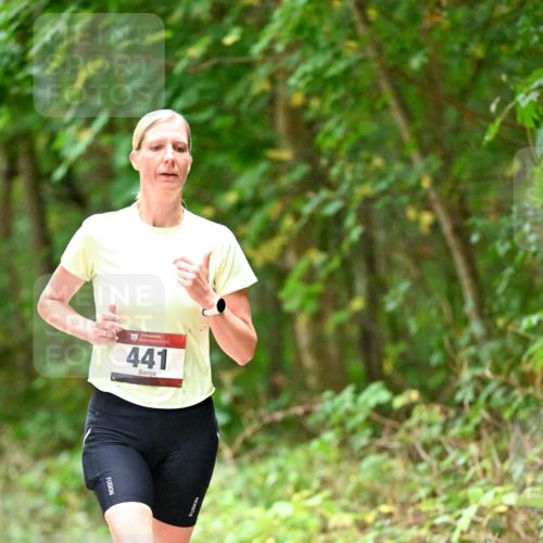 11.10.2026 - Bramfelder Halbmarathon 2026 Dr. Thomas Lammeyer http://msf.ph/oto/10821117 11.10.2026 10:24:23 Laufen 35, 441 meine-sportfotos.de