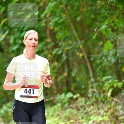 11.10.2026 - Bramfelder Halbmarathon 2026 Dr. Thomas Lammeyer http://msf.ph/oto/10821119 11.10.2026 10:24:23 Laufen 23, 441 meine-sportfotos.de