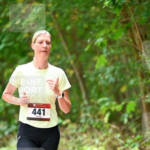 11.10.2026 - Bramfelder Halbmarathon 2026 Dr. Thomas Lammeyer http://msf.ph/oto/10821122 11.10.2026 10:24:23 Laufen 35, 441 meine-sportfotos.de