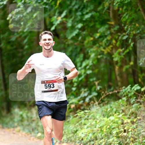 11.10.2026 - Bramfelder Halbmarathon 2026 Dr. Thomas Lammeyer http://msf.ph/oto/10821207 11.10.2026 10:24:57 Laufen 593, 132 meine-sportfotos.de
