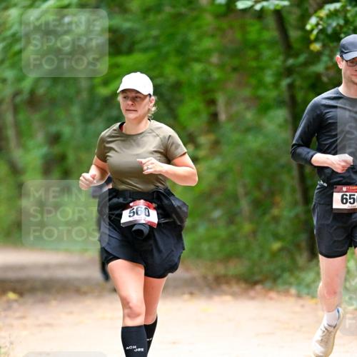 11.10.2026 - Bramfelder Halbmarathon 2026 Dr. Thomas Lammeyer http://msf.ph/oto/10821255 11.10.2026 10:25:09 Laufen 560, 650 meine-sportfotos.de