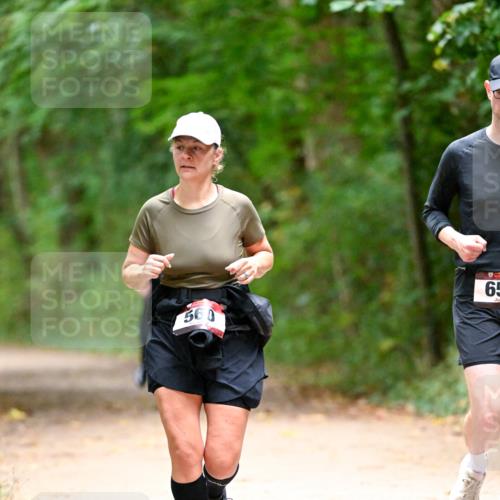 11.10.2026 - Bramfelder Halbmarathon 2026 Dr. Thomas Lammeyer http://msf.ph/oto/10821256 11.10.2026 10:25:09 Laufen 65, 560 meine-sportfotos.de