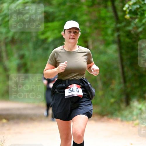 11.10.2026 - Bramfelder Halbmarathon 2026 Dr. Thomas Lammeyer http://msf.ph/oto/10821262 11.10.2026 10:25:09 Laufen 500 meine-sportfotos.de