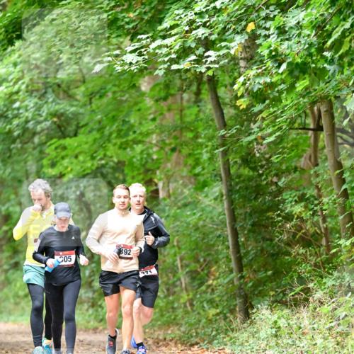 11.10.2026 - Bramfelder Halbmarathon 2026 Dr. Thomas Lammeyer http://msf.ph/oto/10821314 11.10.2026 10:26:09 Laufen 05, 892, 371 meine-sportfotos.de