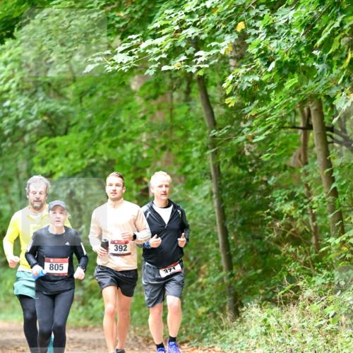 11.10.2026 - Bramfelder Halbmarathon 2026 Dr. Thomas Lammeyer http://msf.ph/oto/10821321 11.10.2026 10:26:10 Laufen 805, 392, 371 meine-sportfotos.de