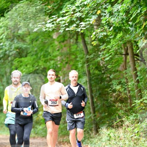 11.10.2026 - Bramfelder Halbmarathon 2026 Dr. Thomas Lammeyer http://msf.ph/oto/10821326 11.10.2026 10:26:11 Laufen 392, 371 meine-sportfotos.de
