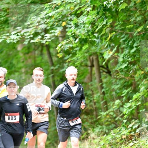 11.10.2026 - Bramfelder Halbmarathon 2026 Dr. Thomas Lammeyer http://msf.ph/oto/10821339 11.10.2026 10:26:13 Laufen 805, 92, 371 meine-sportfotos.de
