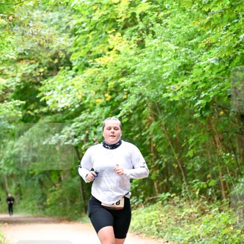 11.10.2026 - Bramfelder Halbmarathon 2026 Dr. Thomas Lammeyer http://msf.ph/oto/10821378 11.10.2026 10:26:27 Laufen  meine-sportfotos.de