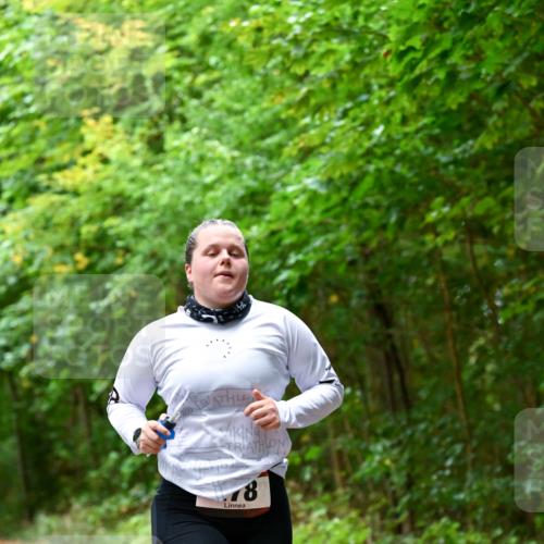 11.10.2026 - Bramfelder Halbmarathon 2026 Dr. Thomas Lammeyer http://msf.ph/oto/10821384 11.10.2026 10:26:28 Laufen 8 meine-sportfotos.de