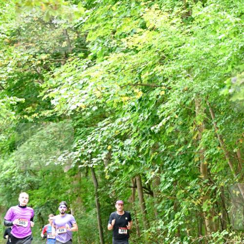11.10.2026 - Bramfelder Halbmarathon 2026 Dr. Thomas Lammeyer http://msf.ph/oto/10821393 11.10.2026 10:26:55 Laufen 565, 444, 439, 327 meine-sportfotos.de