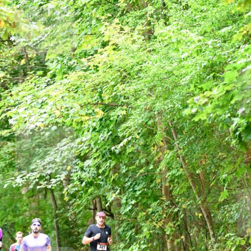 11.10.2026 - Bramfelder Halbmarathon 2026 Dr. Thomas Lammeyer http://msf.ph/oto/10821399 11.10.2026 10:26:56 Laufen 44, 439, 327 meine-sportfotos.de