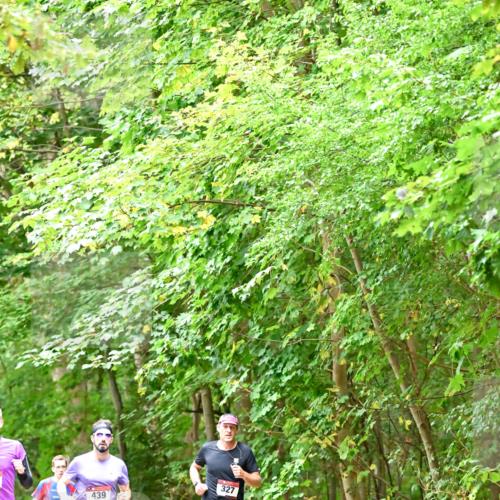 11.10.2026 - Bramfelder Halbmarathon 2026 Dr. Thomas Lammeyer http://msf.ph/oto/10821401 11.10.2026 10:26:56 Laufen 444, 439, 327 meine-sportfotos.de