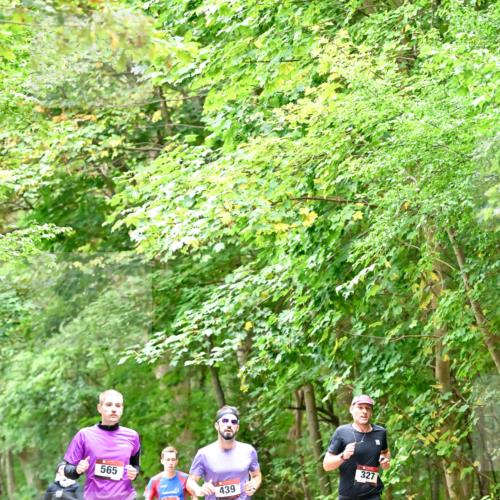 11.10.2026 - Bramfelder Halbmarathon 2026 Dr. Thomas Lammeyer http://msf.ph/oto/10821402 11.10.2026 10:26:57 Laufen 565, 444, 439, 327 meine-sportfotos.de