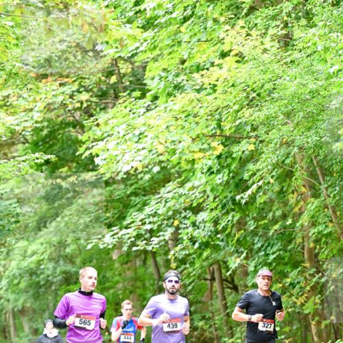11.10.2026 - Bramfelder Halbmarathon 2026 Dr. Thomas Lammeyer http://msf.ph/oto/10821403 11.10.2026 10:26:57 Laufen 565, 444, 439, 327 meine-sportfotos.de