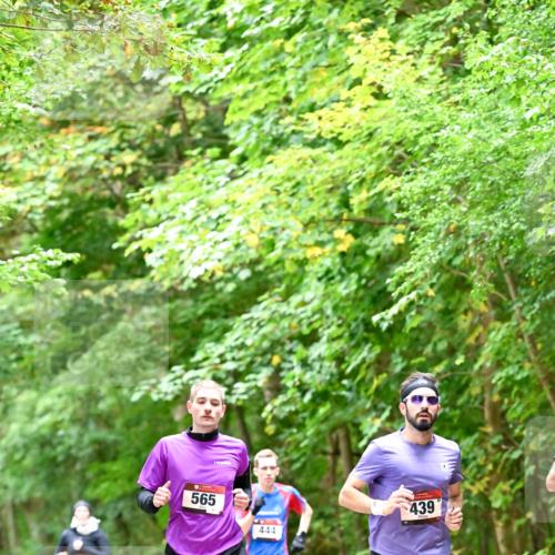 11.10.2026 - Bramfelder Halbmarathon 2026 Dr. Thomas Lammeyer http://msf.ph/oto/10821412 11.10.2026 10:26:58 Laufen 565, 444, 439 meine-sportfotos.de