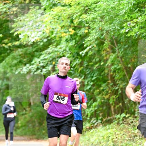 11.10.2026 - Bramfelder Halbmarathon 2026 Dr. Thomas Lammeyer http://msf.ph/oto/10821416 11.10.2026 10:26:59 Laufen 565, 87, 444 meine-sportfotos.de